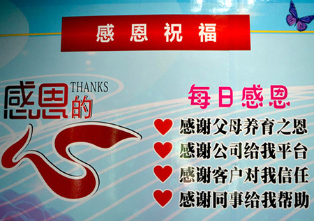启航彩感恩活动
